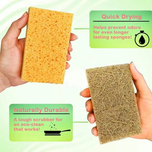 10 Pcs Natural Kitchen Sponge, Cellulose and Coconut Walnut Scrubber - Picture 8 of 9